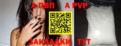 герыч Кингисепп