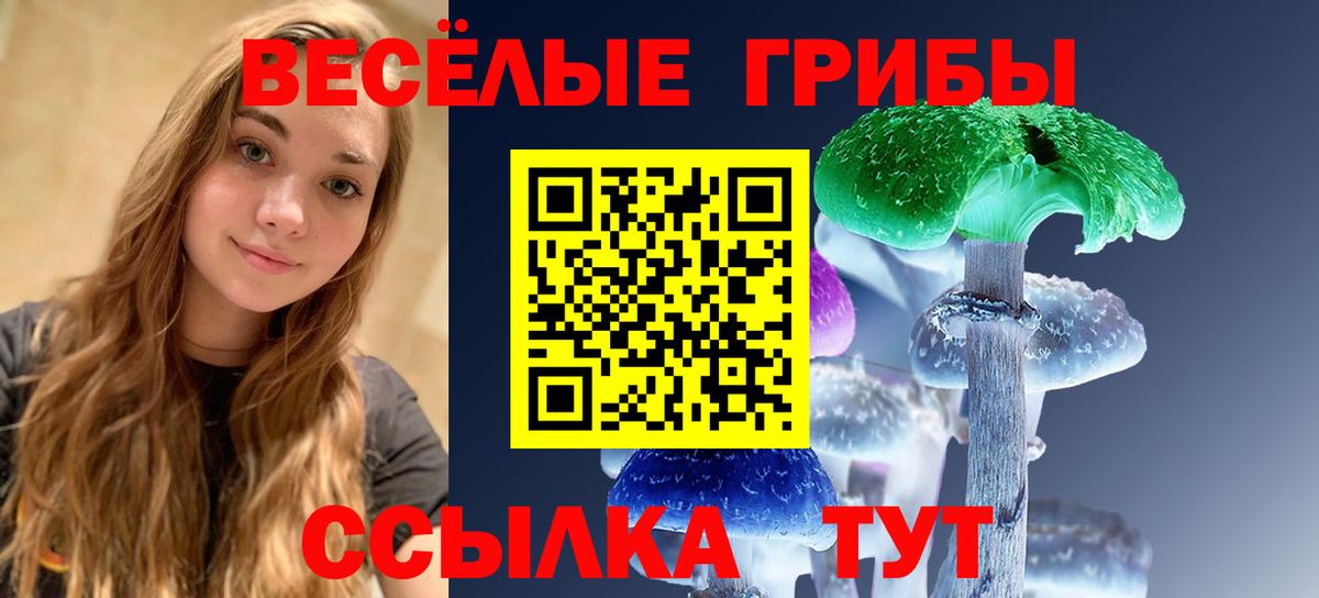 Щёлково  Галлюциногенные грибы GOLDEN TEACHER  Вход с VPN  Псилоцибиновые грибы мицелий 