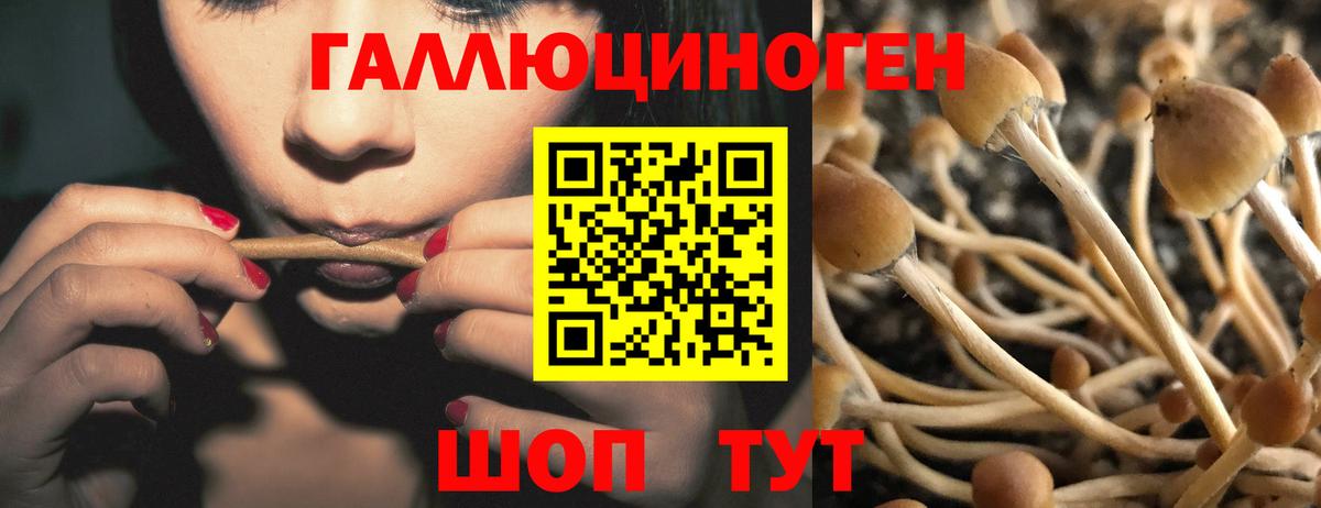 Псилоцибиновые грибы Cubensis Щёлково